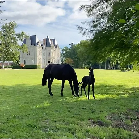 Château Du Maurier Hébergement de vacances La Fontaine-Saint-Martin