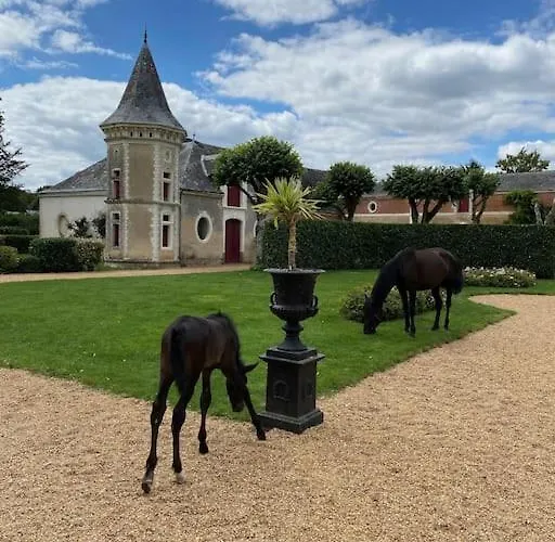 Chateau Du Maurier Casa vacanze La Fontaine-Saint-Martin