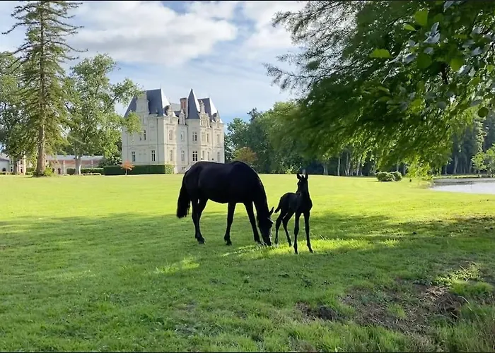 Chateau Du Maurier Casa vacanze La Fontaine-Saint-Martin