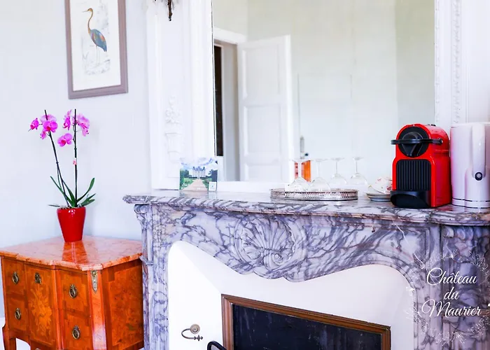 Casa vacanze Chateau Du Maurier La Fontaine-Saint-Martin